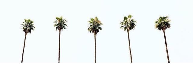 lghd_787's profile banner image