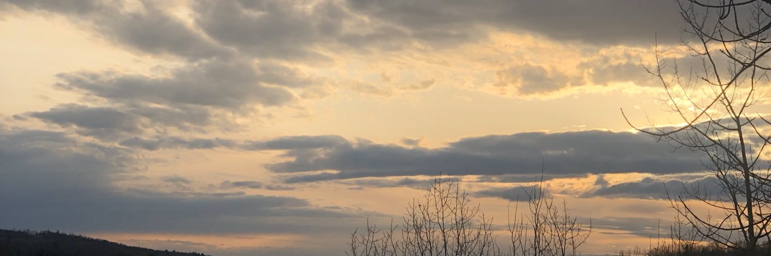 Abby Rachel banner