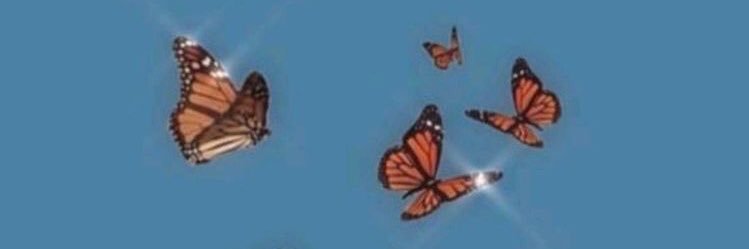 E V A 🦋 banner