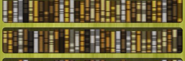 VanguardsVault's profile banner image