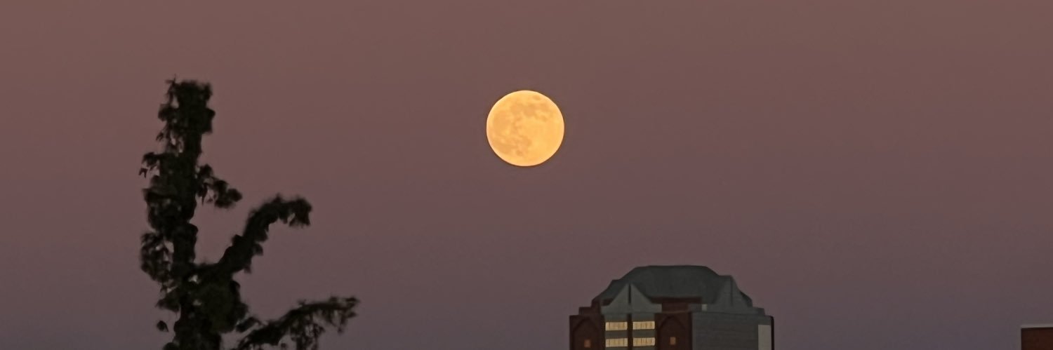6anelyxo's profile banner image