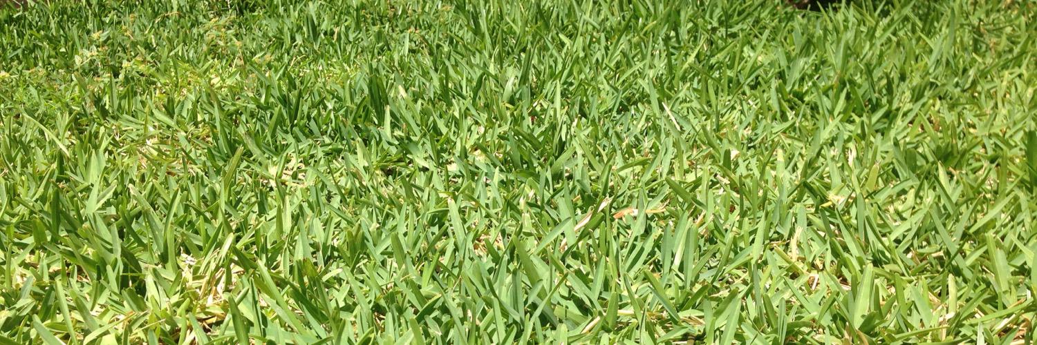 BrillaRenewable's profile banner image