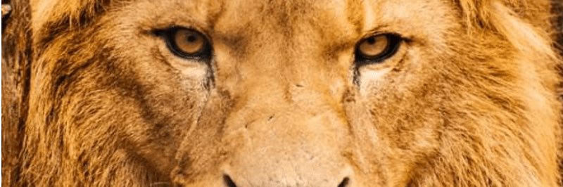 Jamminn88's profile banner image