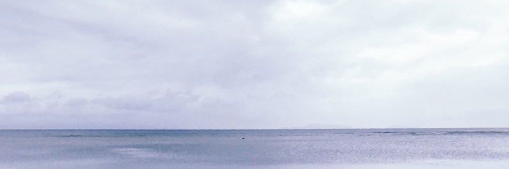 daneetorres's profile banner image