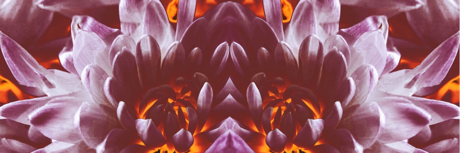 Jessel Sookha banner