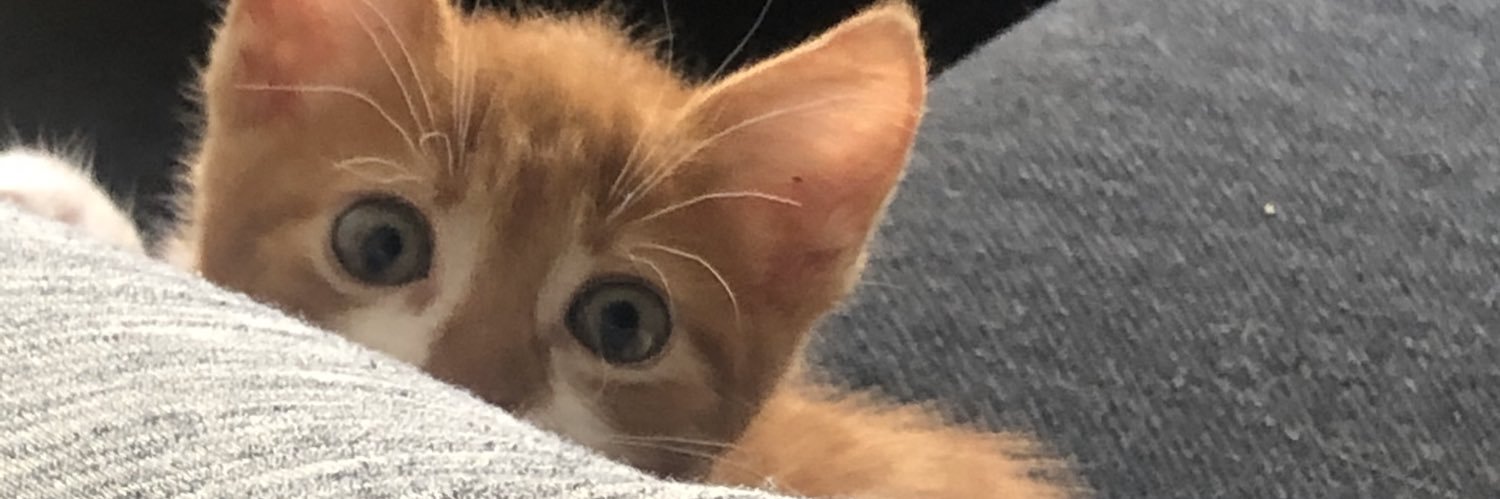 true_ownn's profile banner image