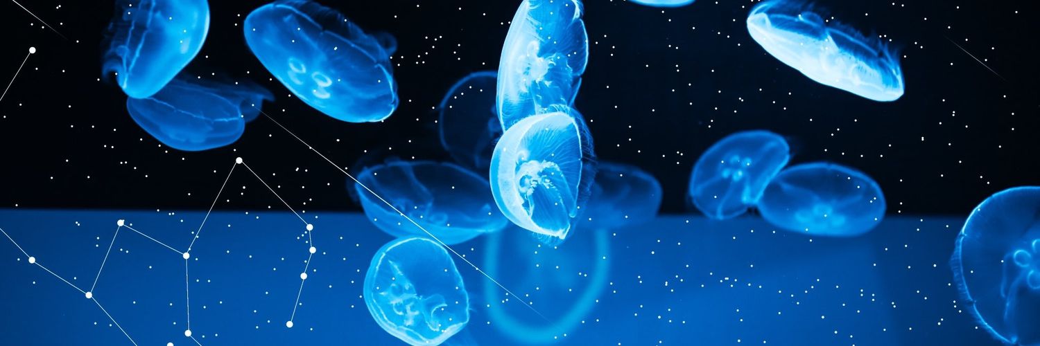 ii_kun2's profile banner image