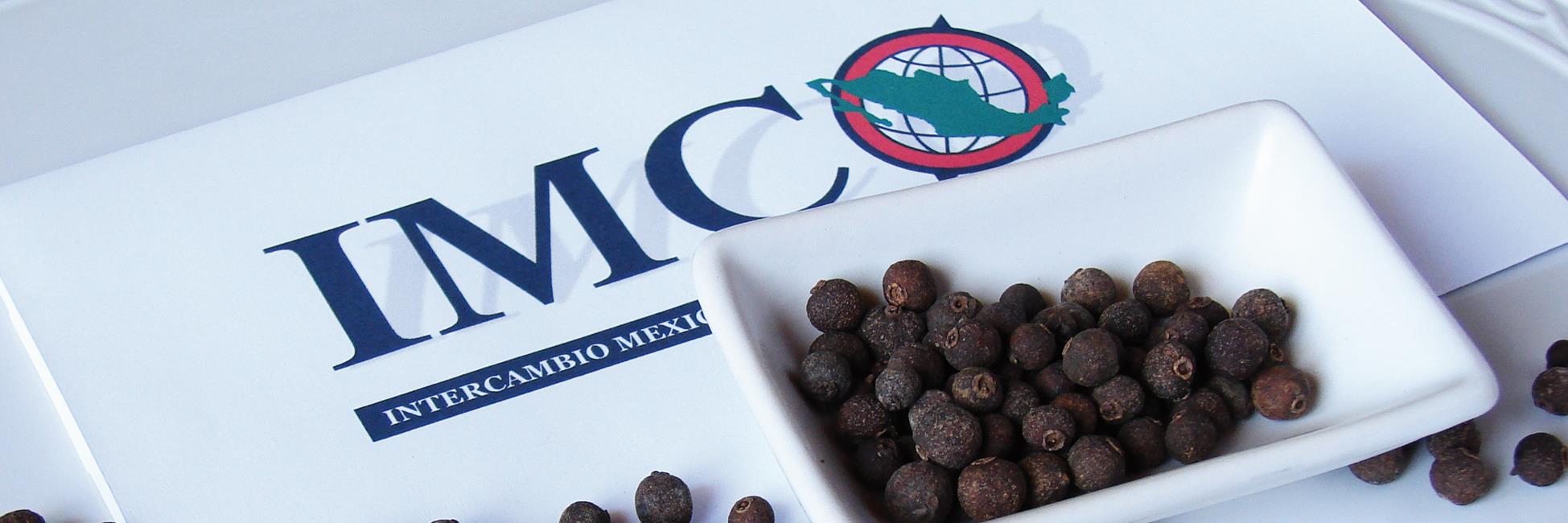 Imco Mexico banner