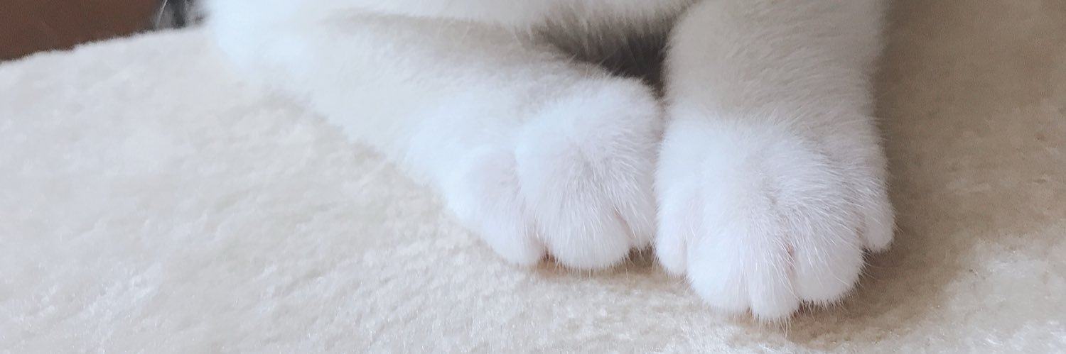 nkmnmxsk's profile banner image