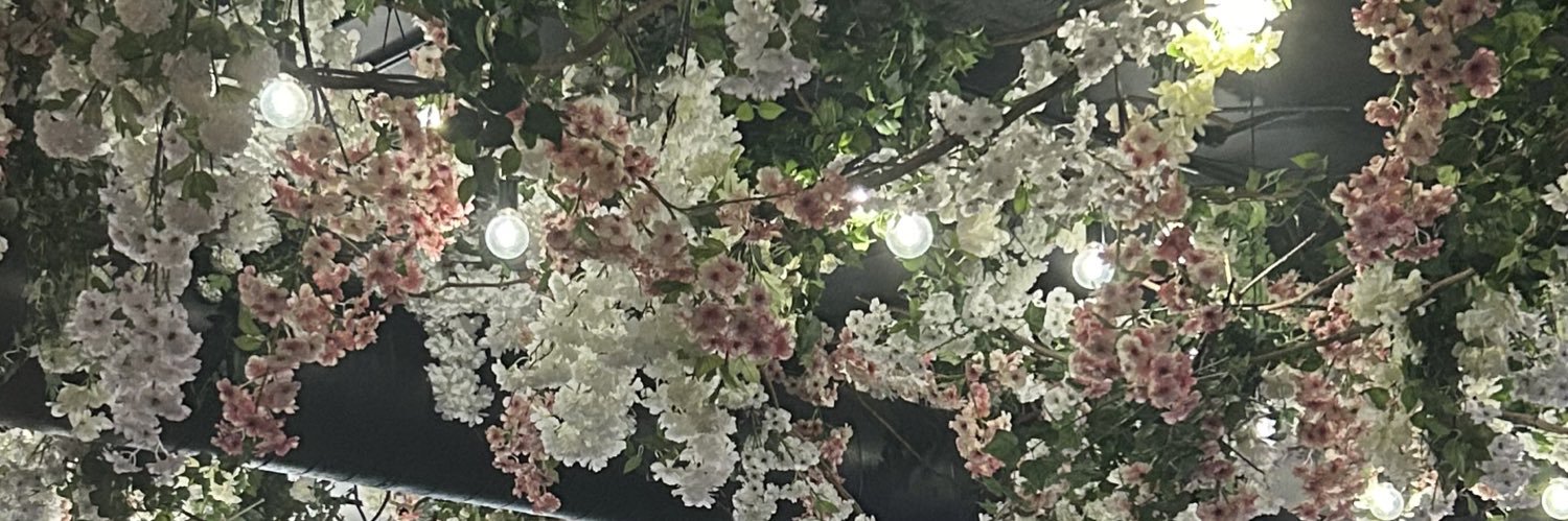 HoferLiv's profile banner image
