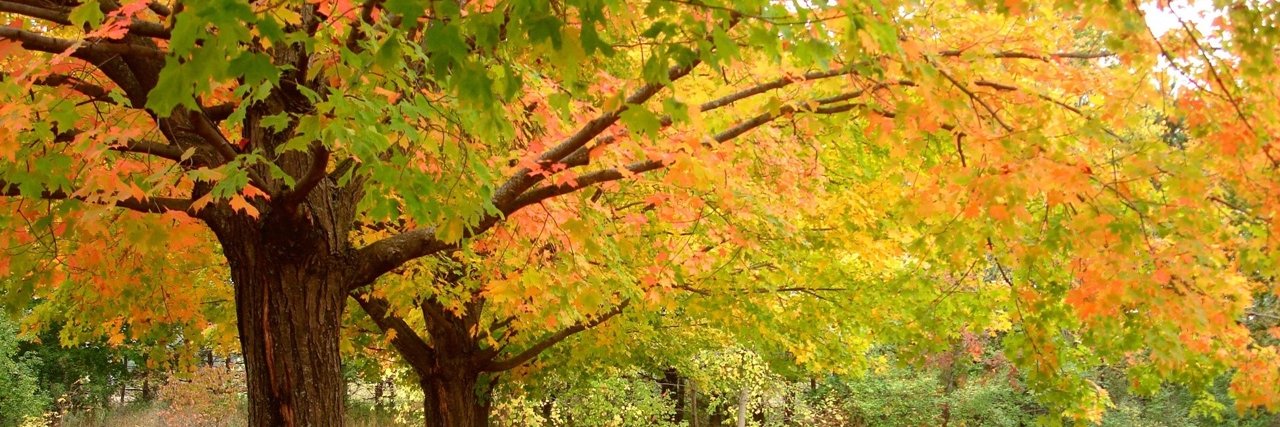 Douglas L. Flint banner