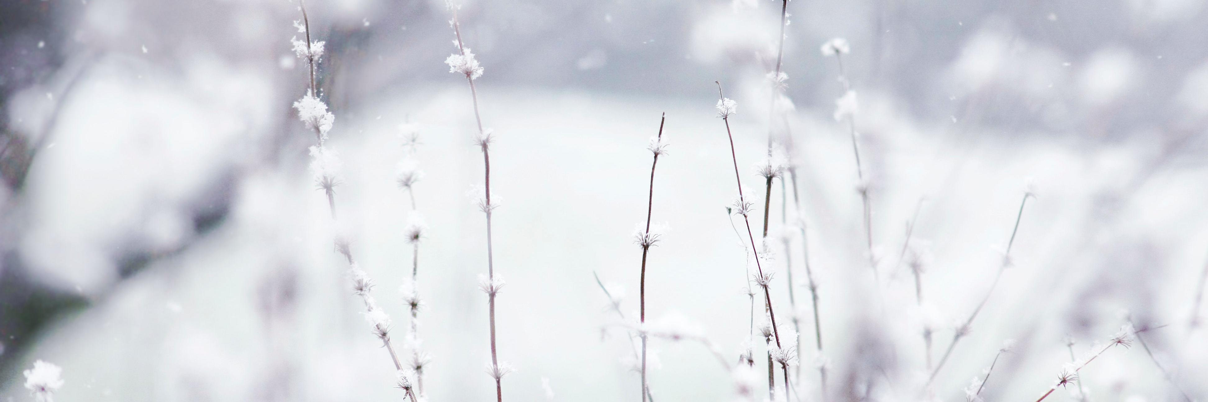 melloface's profile banner image