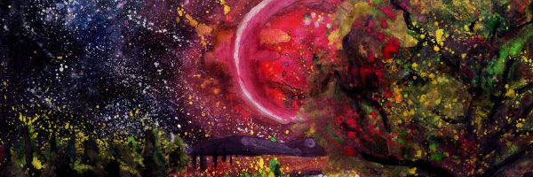 LLMM20113's profile banner image