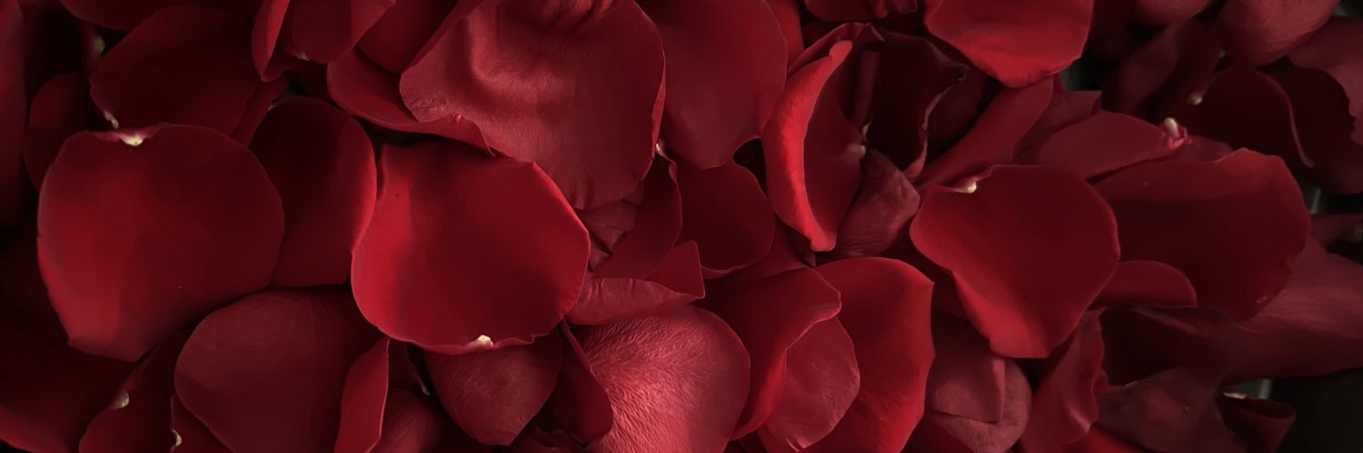 nxxbee's profile banner image