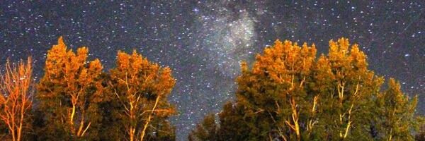 Cams_Fan_'s profile banner image