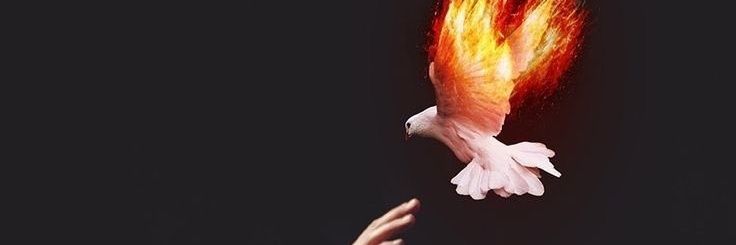 CjWelborn's profile banner image