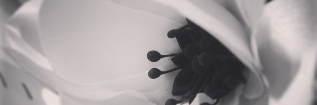 ronce00's profile banner image