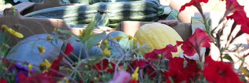 FruitfulMarket's profile banner image