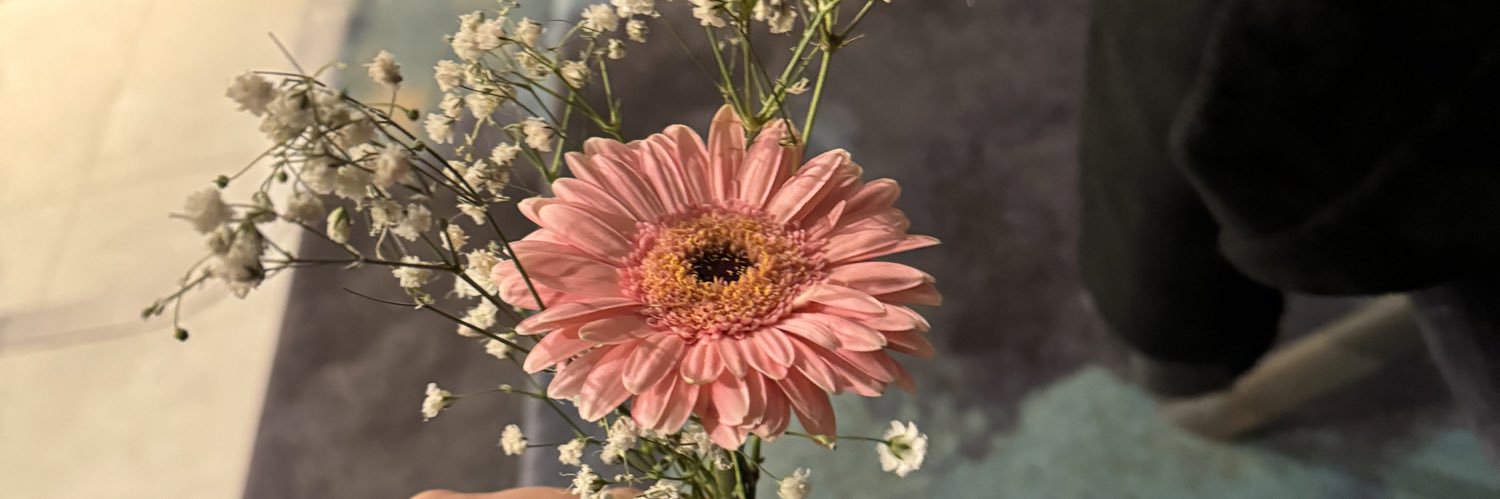 paolapm00's profile banner image