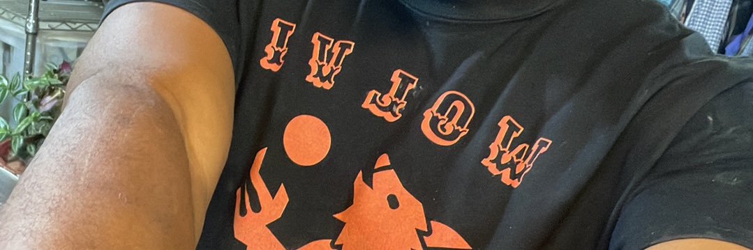 DarkWolfPyramid's profile banner image