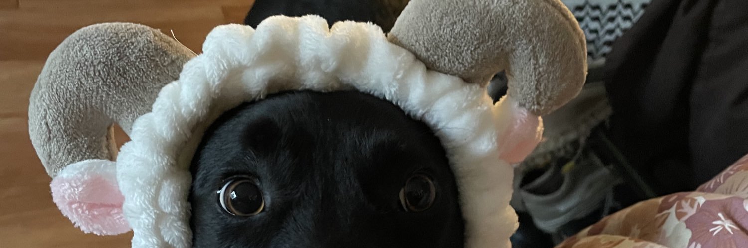 WalkerCarlyn's profile banner image