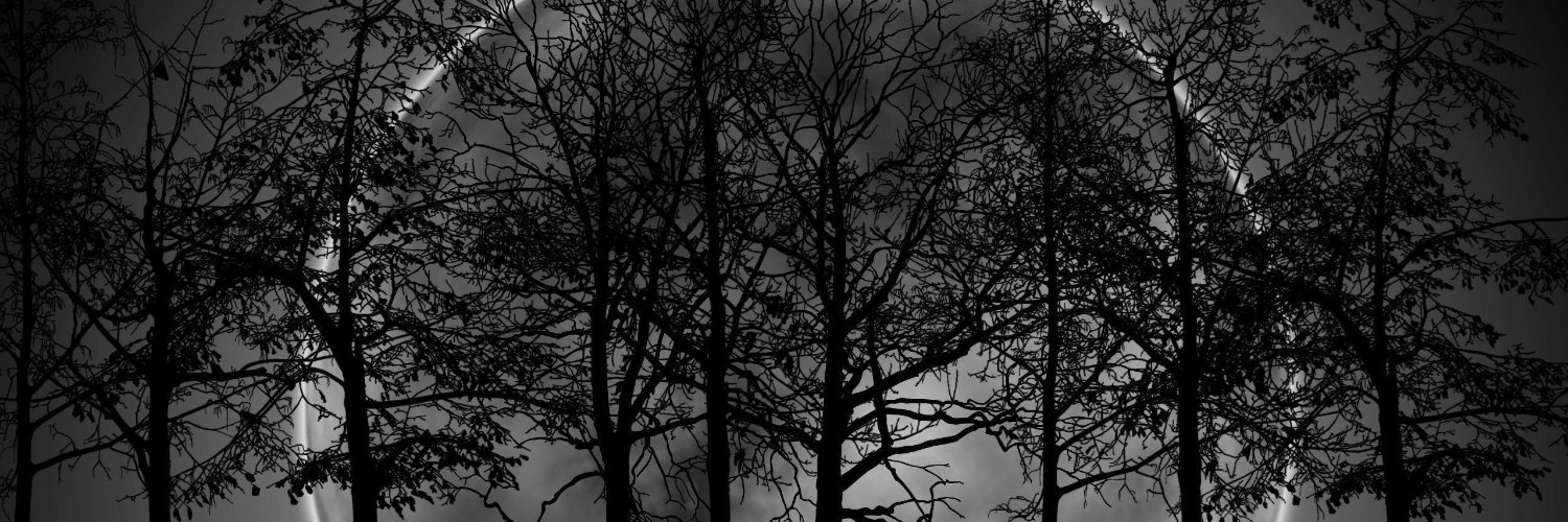 ipredxtion_'s profile banner image