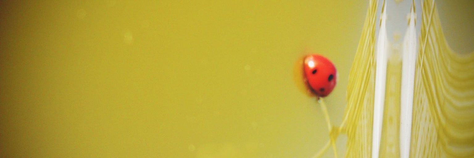 shingo2656's profile banner image