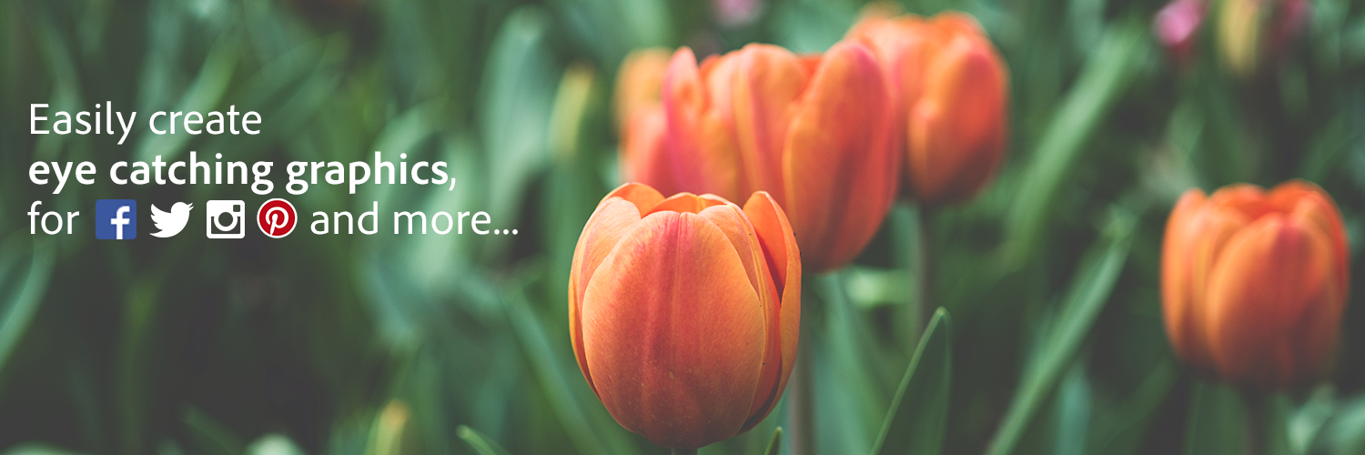 theodesignapp's profile banner image