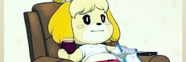 paprikamonstera's profile banner image
