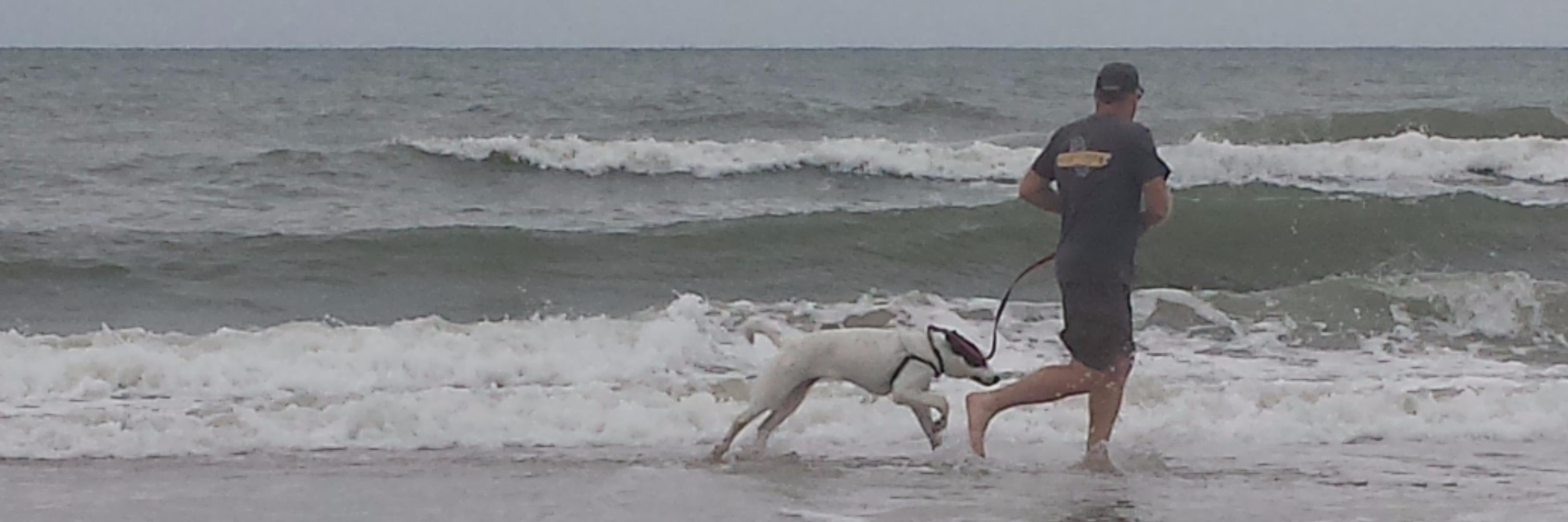 Runners Thoughts banner