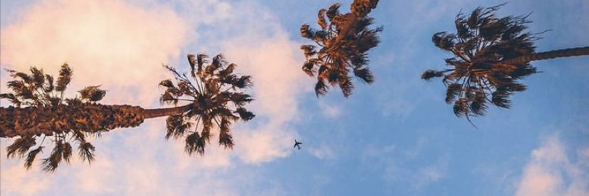 NicholasDao's profile banner image