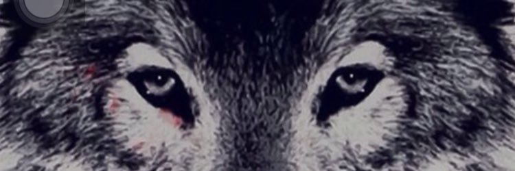 fhood1012's profile banner image