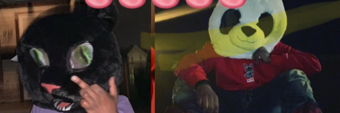 zbostillonit's profile banner image