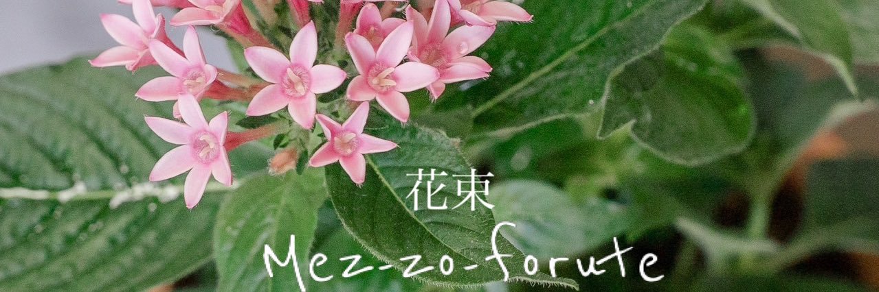 Mez-zo-forute's banner