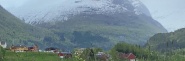 علي الغبيري ابو مازن banner