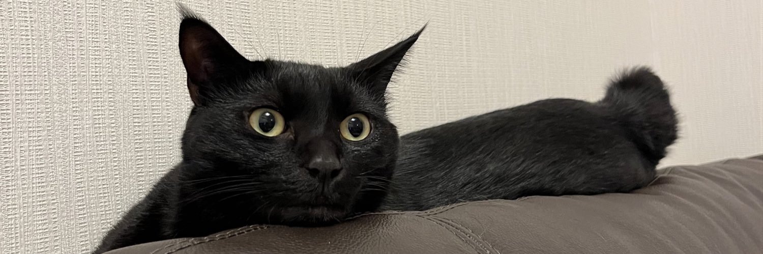 ＊黒猫バロン♡飼い主mari＊ banner