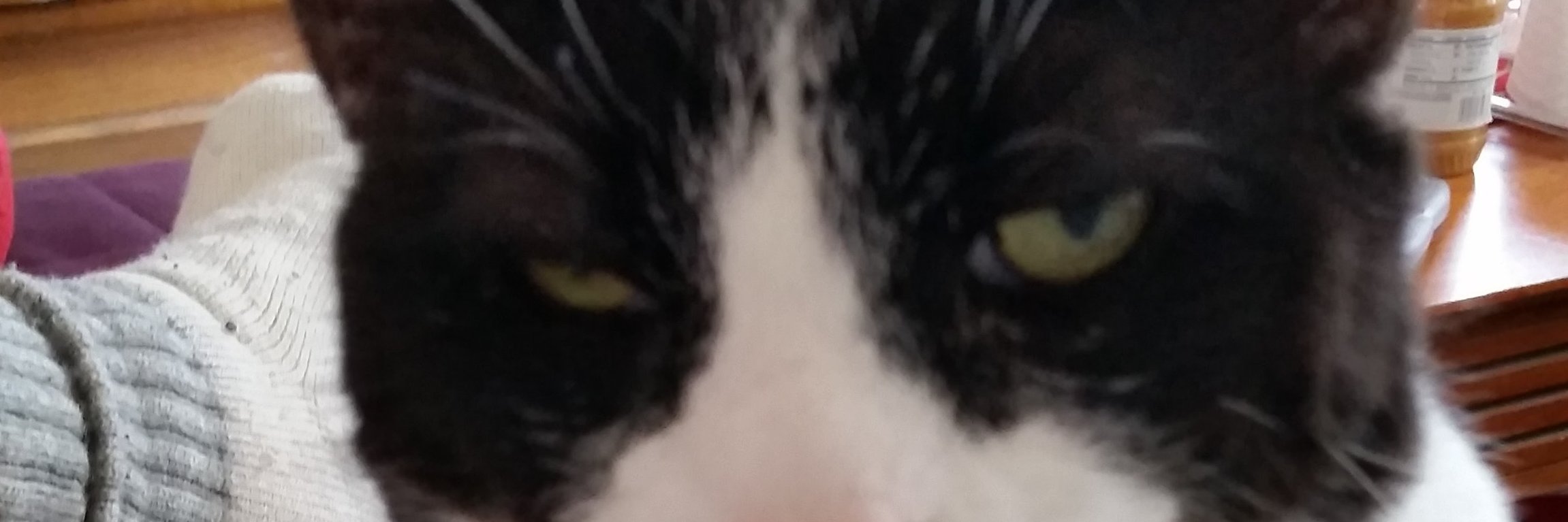 philodoughboy's profile banner image