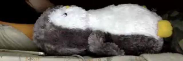 fuzzythepenguin's profile banner image