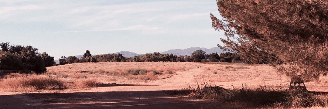kylamikkel's profile banner image