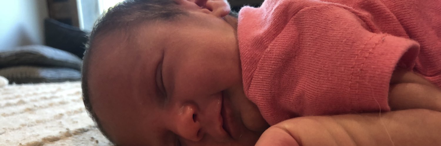 HeidBrady's profile banner image