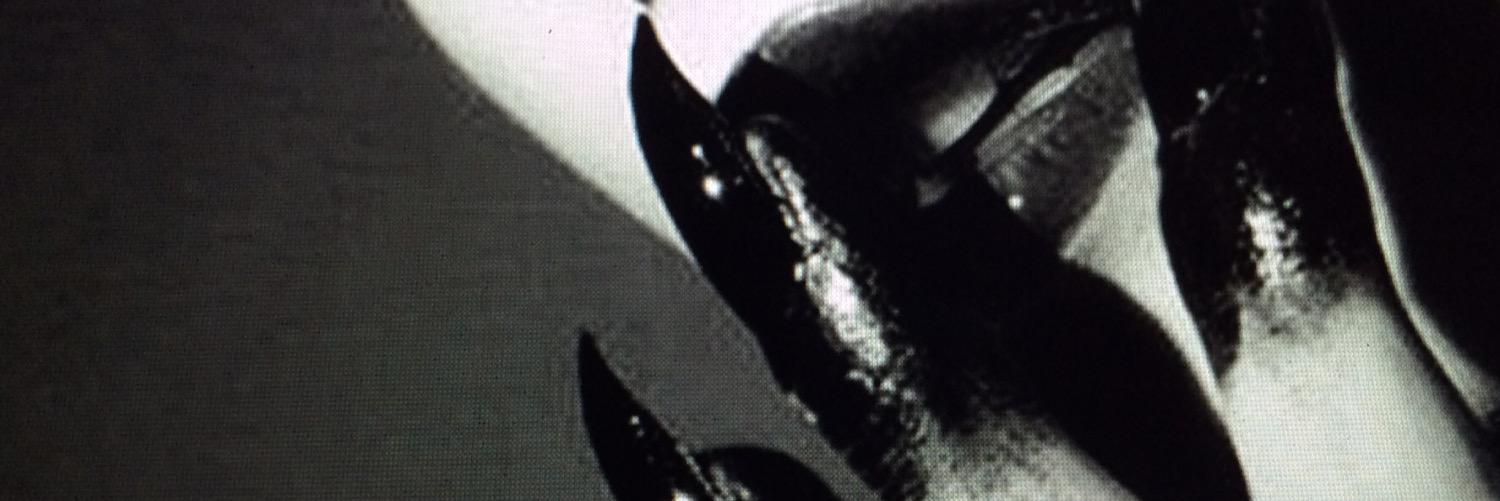 Costa Pantera banner