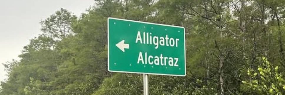 King Libtard banner