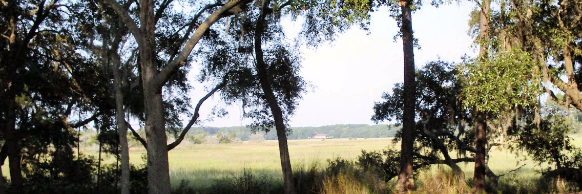 pumor's profile banner image