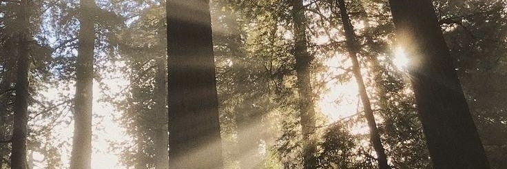 browncoko_'s profile banner image