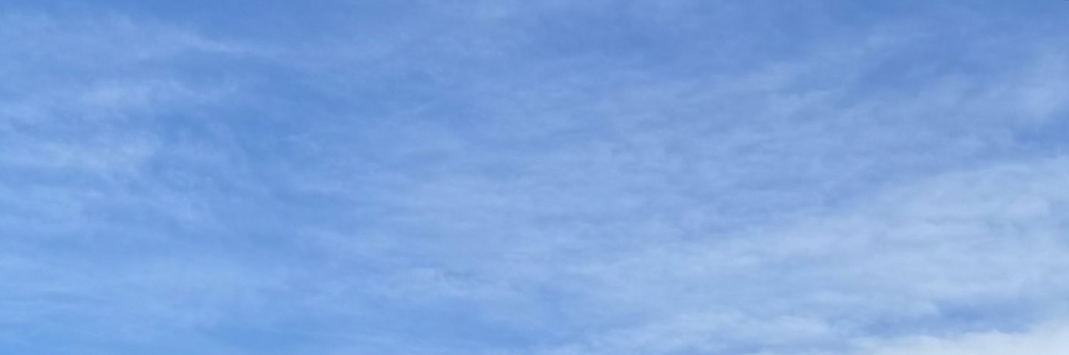 bellvetat's profile banner image