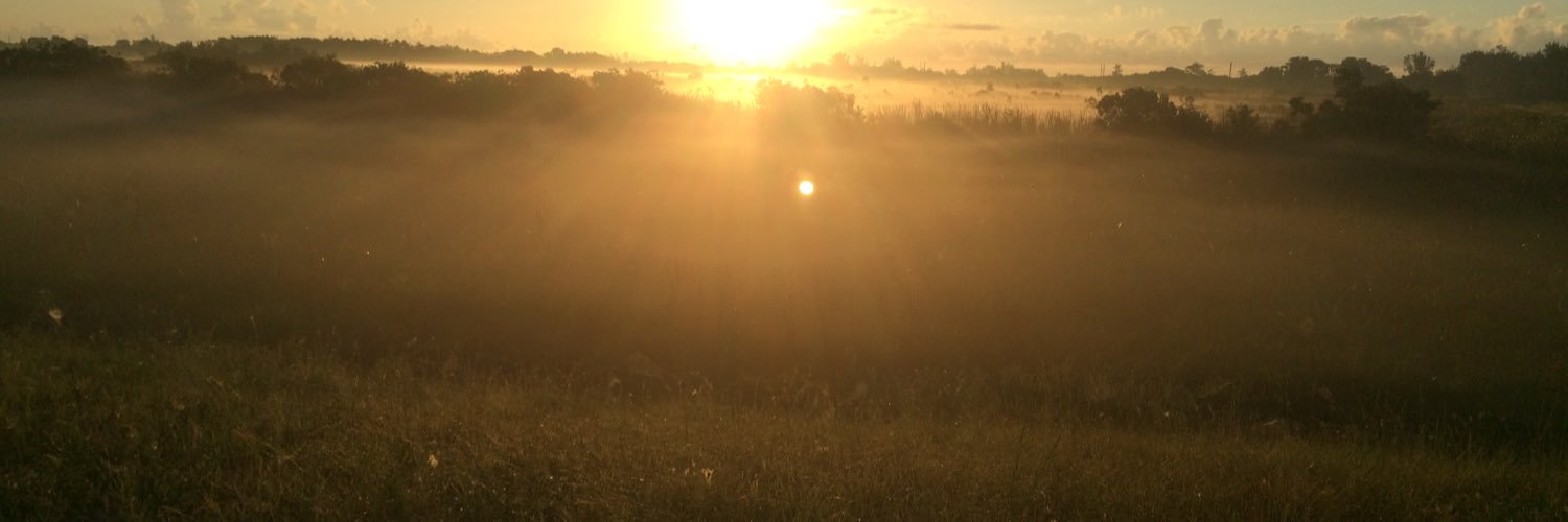 woolsockz's profile banner image