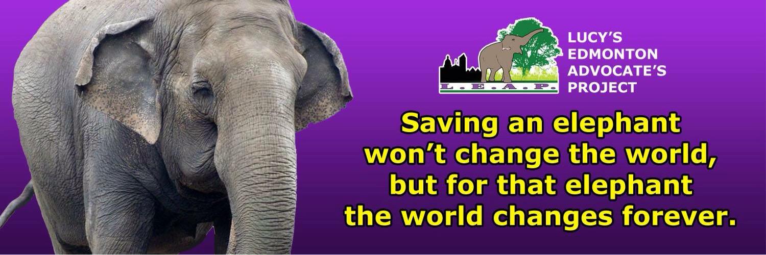 LEAP 💜 ❤️🐘🇨🇦's banner