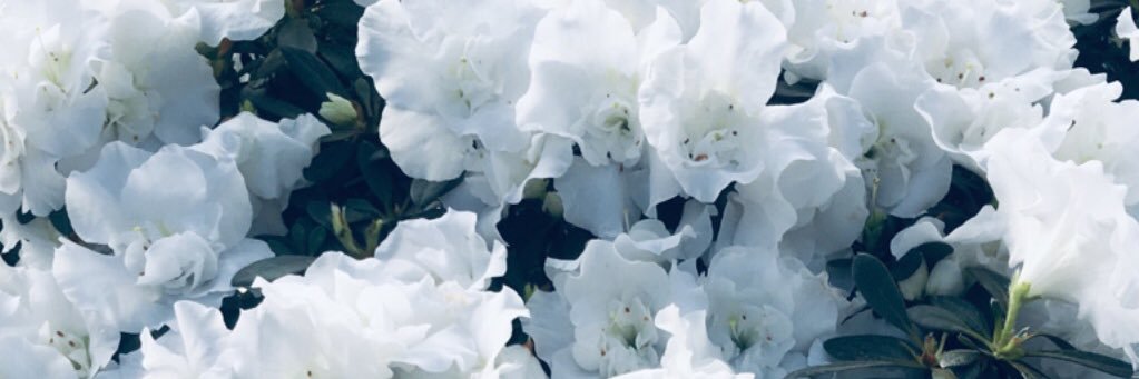 MuhahaaDamncool's profile banner image