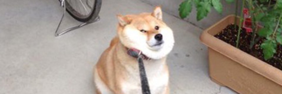 Takechann7's profile banner image