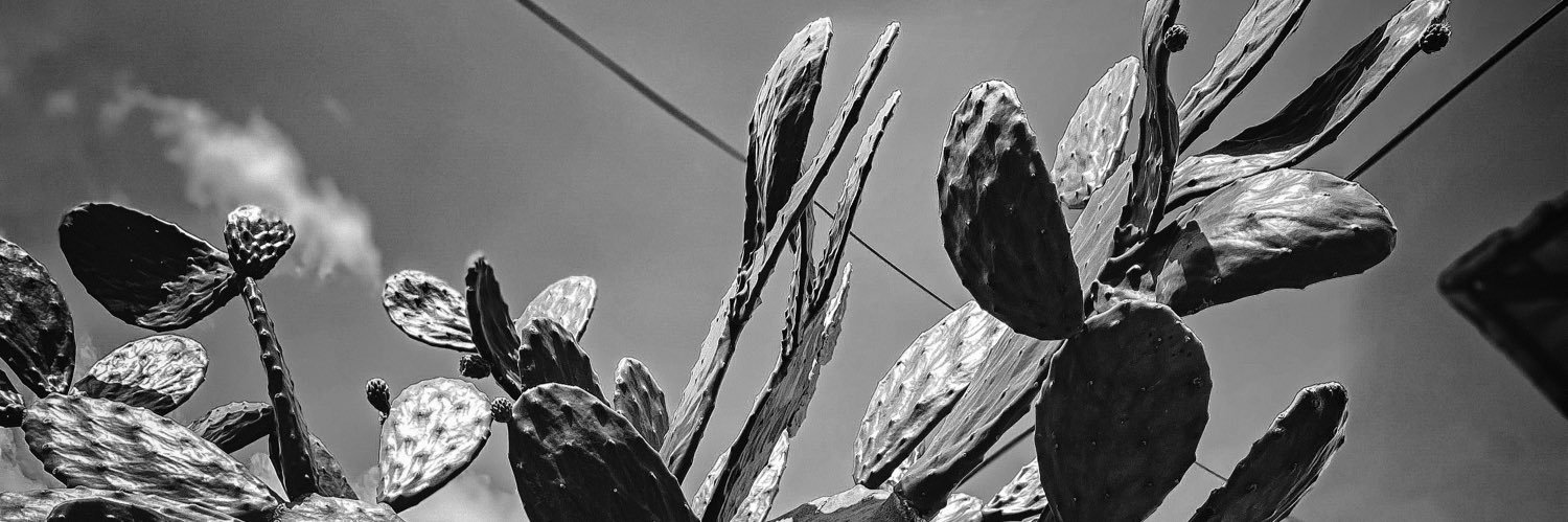 PontxoHierbas's profile banner image